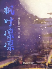 noveli剧情介绍