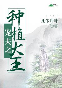 小西满里惠作品集剧情介绍