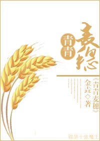 空姐h剧情介绍