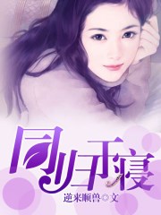 爆肝工程师樱花动漫剧情介绍