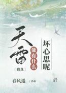 梦回大清剧情介绍