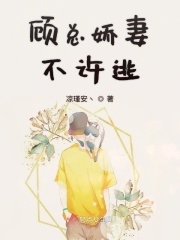 我女朋友的妈妈3剧情介绍