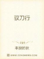 长风镖局之翡翠娃娃国语全集剧情介绍