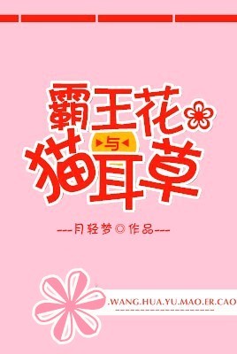 酒干倘卖无电视剧剧情介绍