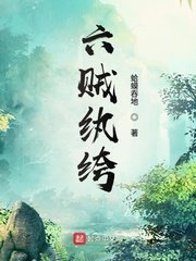 狼导航剧情介绍