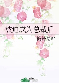 星际前夫总想和我复婚剧情介绍