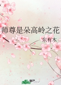 若菜奈央汗液在线播放剧情介绍