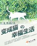 绝傲孤烟剧情介绍