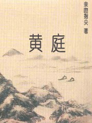 王浩小说剧情介绍