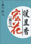 九王妃剧情介绍