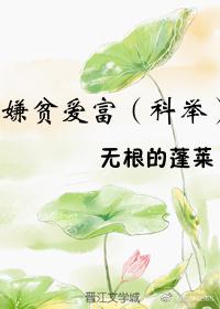 银河传说剧情介绍