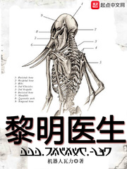 白日梦我txt剧情介绍