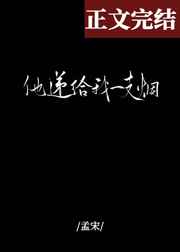 杂乱小说1剧情介绍