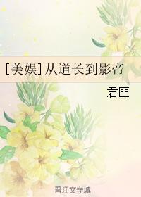 重生之锁心记剧情介绍