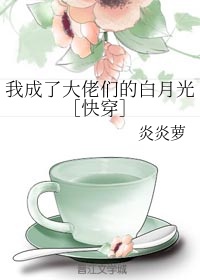 爱死 24 美女图片站剧情介绍