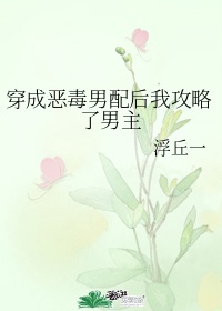 网络色色剧情介绍