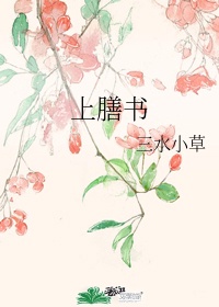 黑莲花上位手册剧情介绍