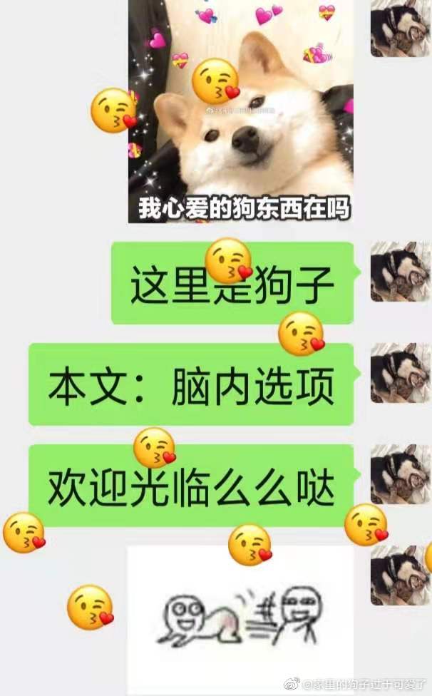 我可以触碰你深处的樱花吗?剧情介绍