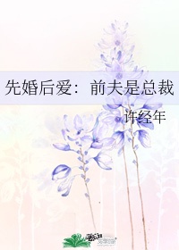 笑林盛典剧情介绍