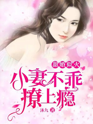 上校夫人和她的侄女们剧情介绍