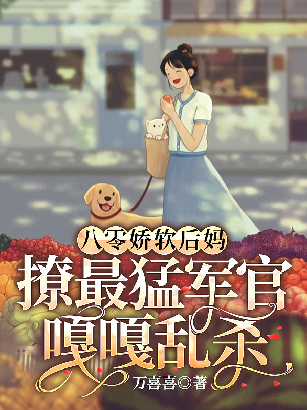 四爷正妻不好当剧情介绍