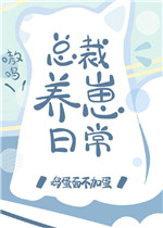 法国空乘免费高清原声满天星美版剧情介绍