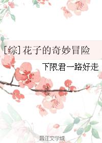 清穿康熙干太子妃沈娇娇剧情介绍