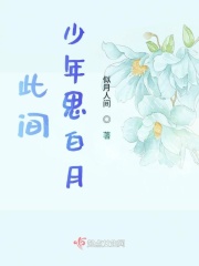 东莞推拿沐足飞机视频剧情介绍