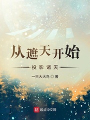 fgo师匠本子剧情介绍