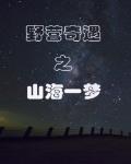 213xxcom剧情介绍