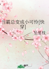 我和女神在荒岛叶凡剧情介绍