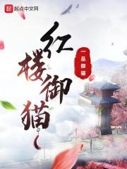 高中校花沦为公厕小说剧情介绍