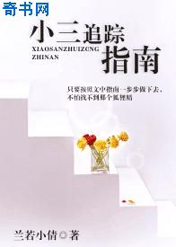 四虎永久在线精品2024剧情介绍