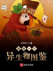 将军不可以1v1h剧情介绍