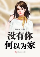 杨门女将肉艳史完整小说剧情介绍