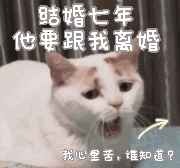 王昆等人主演的剧情介绍