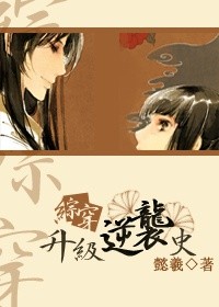 旋风少女小说全集剧情介绍