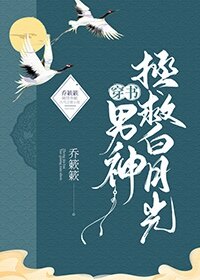 狐狸的夏天46全集免费剧情介绍