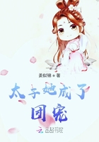 《青春禁区》免费阅读剧情介绍