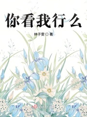 三国杀 英魂剧情介绍