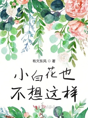 玉蒲团吴启华剧情介绍