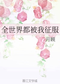 生辰八字名字打分免费测试剧情介绍