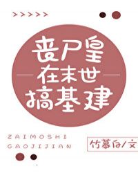 32岁雷狮18岁安迷修剧情介绍