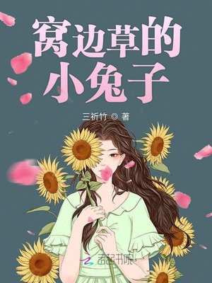 《女人的选择》在线观看剧情介绍