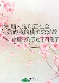 灵魂摆渡1剧情介绍