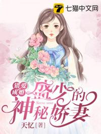 3d定制女仆2手机版剧情介绍