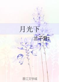 金丝燕剧情介绍