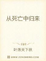 日本人妖shemaletune剧情介绍