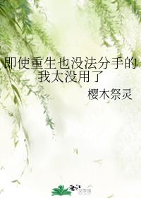 莱芜金点子剧情介绍