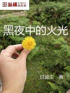 np肉剧情介绍